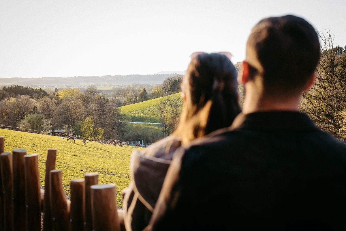 Wildpark Lodges